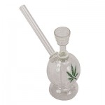 Small Glass Water Pipe