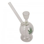 Small Glass Waterpipe