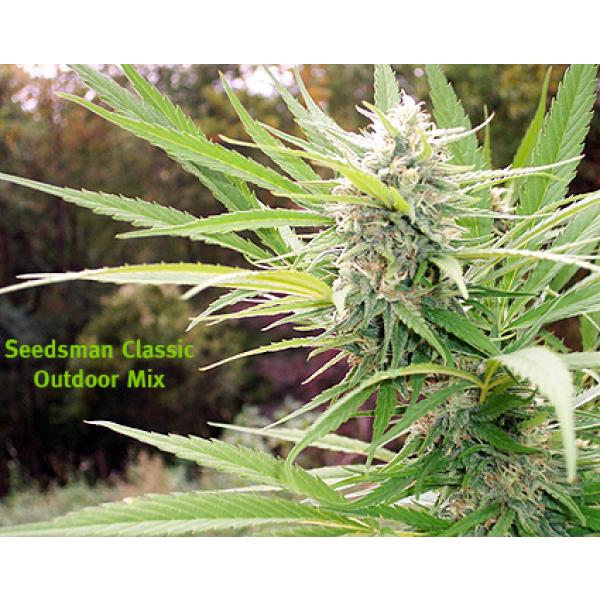 Outdoor Mix Reguliere