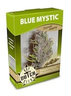 cannabis seeds Blue Mystic