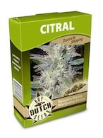 graine cannabis Citral