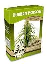 cannabis seeds Durban Poison