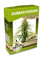 cannabis seeds Durban Poison