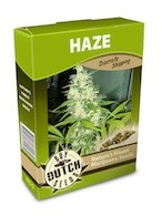 cannabis seeds Haze