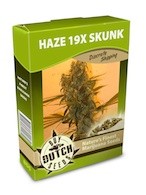 cannabis seeds Haze 19x Skunk