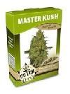 graine cannabis Master Kush