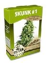 graine cannabis Skunk #1