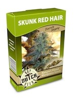 cannabis seeds Skunk Red Hair