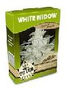 cannabis seeds White Widow