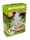 cannabis seeds White Widow