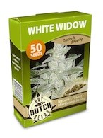 cannabis seeds White Widow