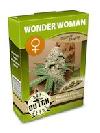 cannabis seeds Wonder Woman feminized