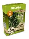 cannabis seeds Medusa feminized