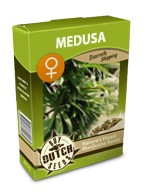 graine cannabis Medusa féminisée