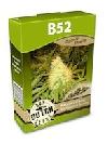 graine cannabis B52