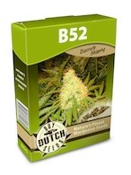 cannabis seeds B52