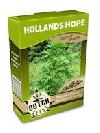 graine cannabis Dutch Hope