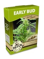 graine cannabis Early Bud