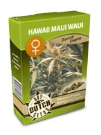 cannabis seeds Hawaii Maui Waui feminized