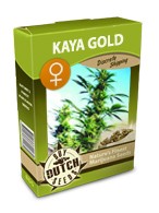 cannabis seeds Kaya Gold feminized