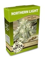 graine cannabis Northern Light