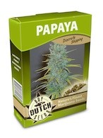 graine cannabis Papaya