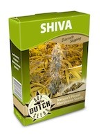 cannabis seeds Shiva