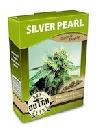 cannabis seeds Silver Pearl