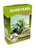 graine cannabis Silver Pearl