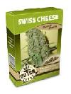 cannabis seeds Swiss Cheese
