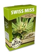 graine cannabis Swiss Miss