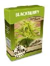 graine cannabis Blackberry