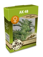 cannabis seeds AK-48 feminized