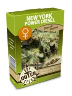 New York Power Diesel feminizada