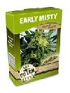 graine cannabis Early Misty