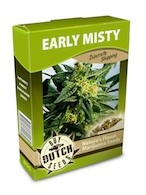 cannabis seeds Early Misty