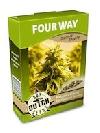 cannabis seeds Four Way