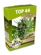 cannabis seeds Top 44