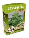 graine cannabis BDS special