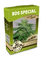 graine cannabis BDS special