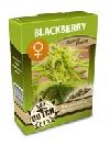 graine cannabis Blackberry féminisée