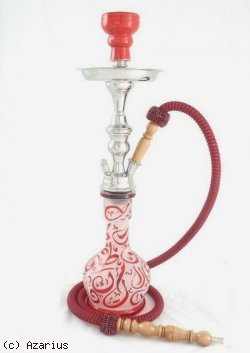 Shisha Arabica